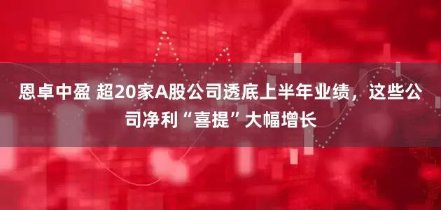 恩卓中盈 超20家A股公司透底上半年业绩，这些公司净利“喜提”大幅增长