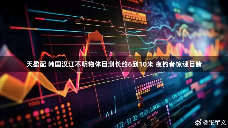 天盈配 韩国汉江不明物体目测长约6到10米 夜钓者惊魂目睹