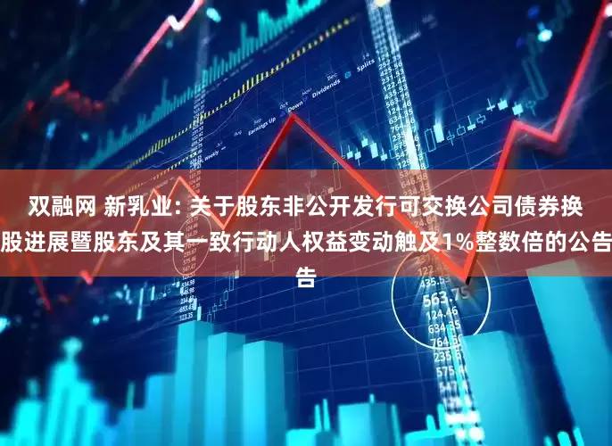双融网 新乳业: 关于股东非公开发行可交换公司债券换股进展暨股东及其一致行动人权益变动触及1%整数倍的公告