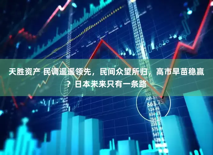 天胜资产 民调遥遥领先，民间众望所归，高市早苗稳赢？日本未来只有一条路